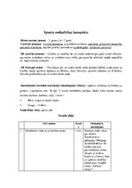 Konspekts 'Sporta nodarbība', 2.