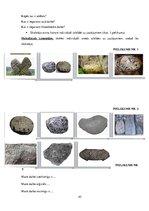 Prakses atskaite 'Kvalifikācijas prakses dienasgrāmta. Sākumskola', 45.