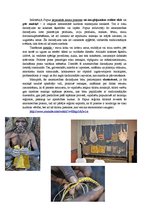 Konspekts 'Neparastās amatniecības prasmes Papua', 1.