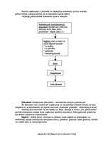 Konspekts 'Uzņēmuma grāmatvedība, tās procesi', 2.