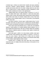 Prakses atskaite 'Individuāli praktizējošs zvērināts advokāts', 19.