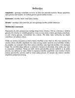 Referāts 'Svārstības un viļņi', 6.