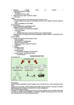 Konspekts 'Kas ir parlaments? Latvijā, Islandē, Kanādā un ASV', 3.