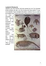 Referāts 'Vēži jeb vēžveidīgo (Crustacea) klase', 4.