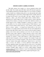 Referāts 'Ministru kabinets', 11.