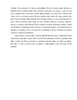 Referāts 'Ministru kabinets', 13.