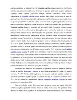 Referāts 'Ministru kabinets', 23.