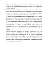 Referāts 'Dators mūsu dzīvē', 5.