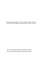 Referāts 'Dators mūsu dzīvē', 7.