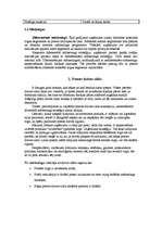 Konspekts '"LEXUS" tirgus izpēte', 3.