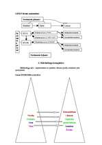 Konspekts '"LEXUS" tirgus izpēte', 6.