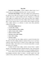 Konspekts 'Funkcionāla līmeņa stratēģijas', 2.