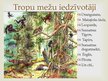 Prezentācija 'Āzijas meži', 8.