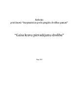 Referāts 'Gaisa kravu pārvadājumu drošība', 1.