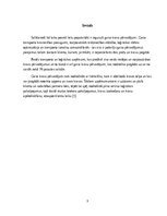 Referāts 'Gaisa kravu pārvadājumu drošība', 3.