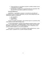 Referāts 'Gaisa kravu pārvadājumu drošība', 8.