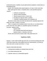 Referāts 'Anglicismu teorija; populārākie anglicismi; pētījums par anglicismiem ', 2.