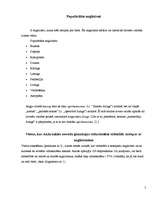 Referāts 'Anglicismu teorija; populārākie anglicismi; pētījums par anglicismiem ', 5.