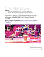 Konspekts 'Atbalsta lēciens', 2.