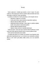 Referāts 'SIA "Arners" gada pārskata novērtēšana', 3.