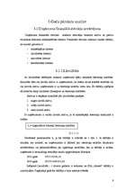 Referāts 'SIA "Arners" gada pārskata novērtēšana', 9.