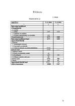 Referāts 'SIA "Arners" gada pārskata novērtēšana', 20.