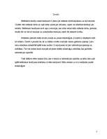 Referāts 'Mūsdienu mediju estētika', 3.