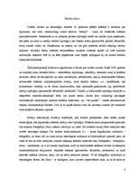 Referāts 'Mūsdienu mediju estētika', 4.