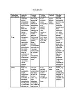 Konspekts 'Subkultūras', 1.