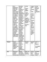 Konspekts 'Subkultūras', 4.