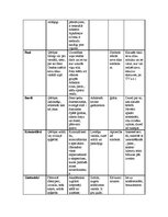 Konspekts 'Subkultūras', 7.