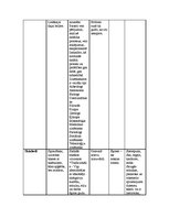 Konspekts 'Subkultūras', 8.