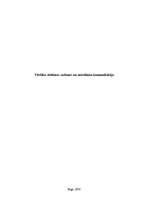 Eseja 'Vērtību sistēmas zudums un mūsdienu komunikācija', 1.