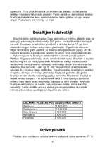 Konspekts 'Brazīlija', 4.