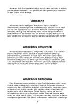 Konspekts 'Brazīlija', 9.