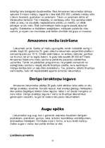 Konspekts 'Brazīlija', 10.