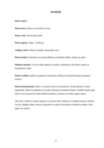 Referāts 'Inflācija un bezdarbs Latvijā', 23.