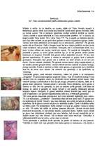 Eseja 'Recenzija', 1.