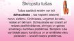 Prezentācija 'Kosmētikas ietekme uz iedzimtību', 5.