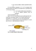 Referāts 'Komerclikuma prasības kapitālsabiedrību pamatkapitāla veidošanai un palielināšan', 16.