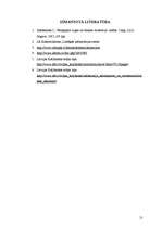 Referāts 'Komerclikuma prasības kapitālsabiedrību pamatkapitāla veidošanai un palielināšan', 18.