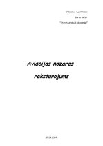 Eseja 'Aviācijas nozares raksturojums', 1.