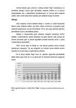 Eseja 'Aviācijas nozares raksturojums', 3.