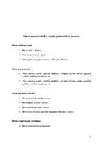 Prakses atskaite 'Ievads logopēdijā', 3.