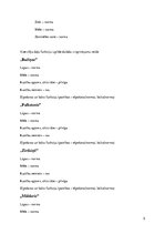 Prakses atskaite 'Ievads logopēdijā', 5.