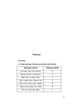 Prakses atskaite 'Ievads logopēdijā', 9.