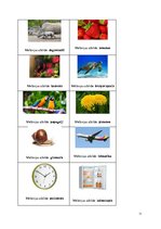 Prakses atskaite 'Ievads logopēdijā', 11.