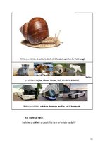 Prakses atskaite 'Ievads logopēdijā', 13.