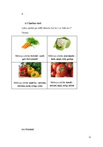 Prakses atskaite 'Ievads logopēdijā', 15.