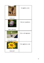 Prakses atskaite 'Ievads logopēdijā', 19.